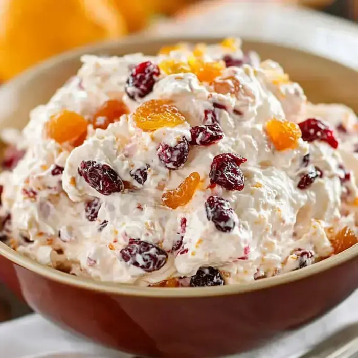 Eine Schüssel mit cremigem Fruchtsalat vermischt mit Cranberries und getrockneten Aprikosen.